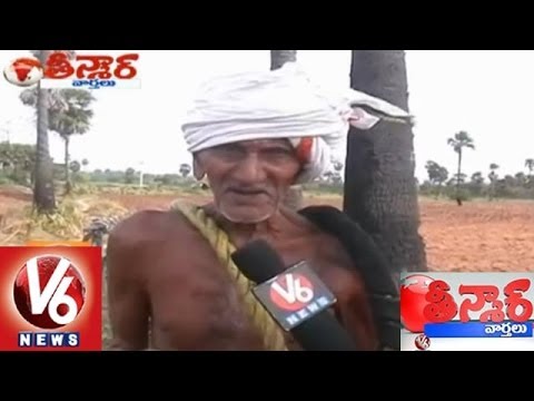 97 year old man climbs trees in Nalgonda district - Special Report - Teenmaar News