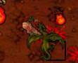 Tibia Lucera / Eo Vs Dragon