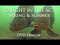 Caught In The Act Parts 1 & 2 - DVD Full Trailer & Intro