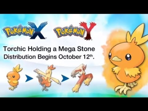 how to collect torchic in pokemon y