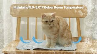 video thumbnail AVANTPET Eco cooling mat for pets youtube