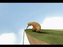 kiwi!