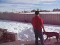 Athena runs through the snow