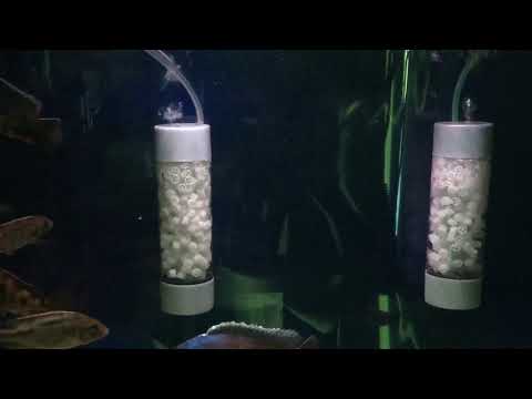 Indoor Aquarium K1 Bio Filter Hack Aquaponics On Grow Aquaponically