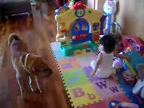 N'ALDA - Kirra playing with alda.
