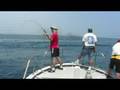 Pesca dia 20.07.2008 na baia de suruga Japão