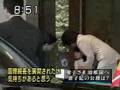 nhk¤Î¤É¼«Ëýin¥á¥¥·¥³Åìµþº½Çù