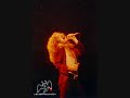 The Nobs - 06.23.77 - Pocket Full of Gold - 04