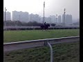 Ramonti after gallop