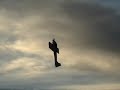 UCANDO LOSES RIGHT AILERON UCANDO LOSES RIGHT AILERON
