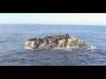 videos de Deer Island Tour Mazatlan - Sea Lions, Submergible Truck