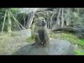 CLIP0067