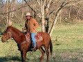 Bucks and Spurs Guest Ranch