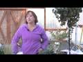 Gardening Tips : How to Remove Fungus From Ficus Benjamina
