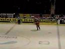 Eis hockey, Elitenserie Sveden