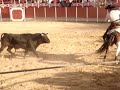 Rejoneo y Recortes en Garcinarro