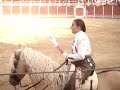 Rejoneo y Recortes en Garcinarro