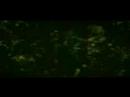 50-cent-ayo-technology-feat-justin-timberlake-music-video.html