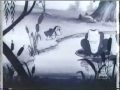 1981 Disney Animation Special! - The Illusion of Life -Part2 1981 Disney Animation Special! - The Illusion of Life -Part2