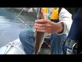 Paul Catches his 1st Cod Fish