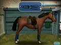 PONY GIRL