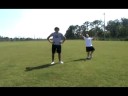 Sports Tips for Dummies Sports Tips for Dummies