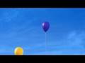  - MovieZen Video