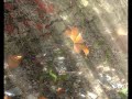 Flower fight