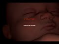pregnancy stages / estados de embarazo