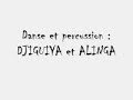 stage anim� par m'bemba kamara.
danse et percu : djiguiya et alinga