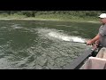 Oversize Sturgeon Fishing