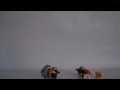 Stop Motion Building SD Sonken Gundam