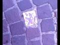 videos de Pokemonpflasterstein in Italien