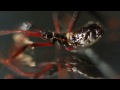 Original Music,sound design,cinematography,photography,editing soraxtm I'm saying that because is it involves the use of some new tool and it finally feels like I had enough varied stuff to put something coherent together. 