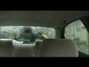 nicky-cappelli-superbowl.html