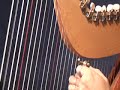 Daily Harp Moment-Third Man Theme