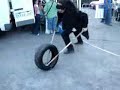 corridas de pneus