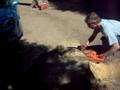 stump wars -the chainsaw