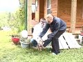 cute-orphan-fawn.html