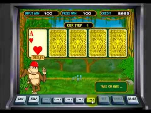 Азартные игры онлайн черепашки