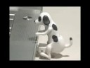 Humping Dog
