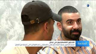 من الهزيمة إلى الانتصار.. مخيم البداوي في لبنان  يشهد قصة لاجئ فلسطيني اختار تحدي الظروف