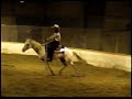 YOR High Noon Bridle-less Reining Appaloosa Stallion