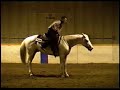 YOR High Noon Bridle-less Reining Appaloosa Stallion