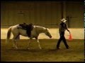 YOR High Noon Bridle-less Reining Appaloosa Stallion