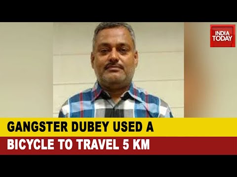 Kanpur Encounter Probe: Inside Track On How Gangster Vikas Dubey Fled After Killing Cops