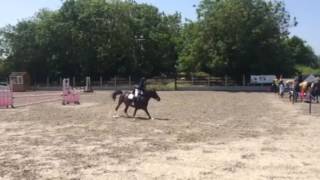 Unaffiliated Showjumping Sunday 5th June 2016