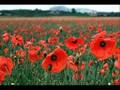 The-Green-Fields-of-