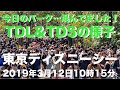 【TDL&TDS】2019年3月12日のランド&シーの混雑の様子！火曜日でこの混雑は凄い(^_^;)今日は何かあったのか⁉︎