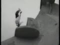 Homem Aranha  - Ele existe! (Speed Air Man)